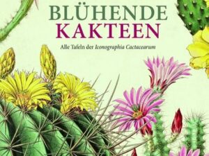 Blühende Kakteen