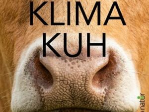 Die Klima-Kuh