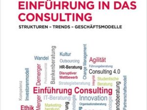 Einführung in das Consulting