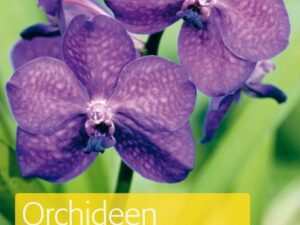 Orchideen für Einsteiger