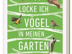 So locke ich Vögel in meinen Garten