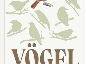 Vögel verstehen