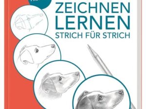 Zeichnen lernen – Strich für Strich