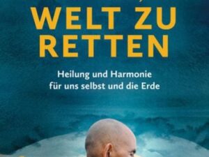 Zen und die Kunst, die Welt zu retten