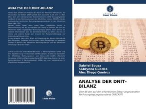 Analyse der Dnit-Bilanz