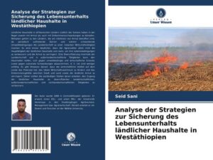 Analyse der Strategien zur Sicherung des Lebensunterhalts ländlicher Haushalte in Westäthiopien