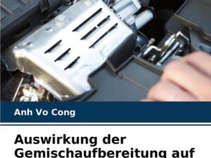 Auswirkung der Gemischaufbereitung auf die Verbrennung eines HCCI-Benzinmotors