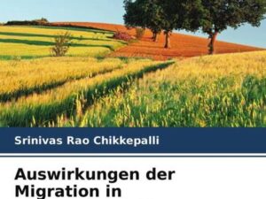 Auswirkungen der Migration in unterentwickelten Ländern