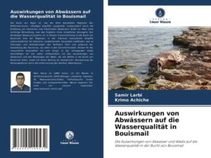 Auswirkungen von Abwässern auf die Wasserqualität in Bouismail