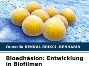 Bioadhäsion: Entwicklung in Biofilmen