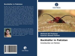 Bockkäfer in Pakistan