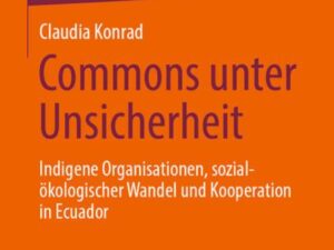 Commons unter Unsicherheit