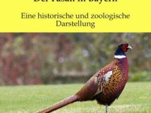 Der Fasan in Bayern