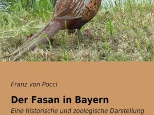 Der Fasan in Bayern