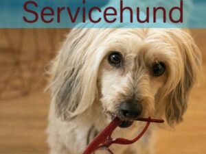 Der kleine Servicehund