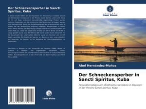 Der Schneckensperber in Sancti Spíritus, Kuba