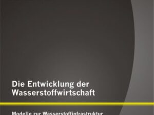 Die Entwicklung der Wasserstoffwirtschaft: Modelle zur Wasserstoffinfrastruktur