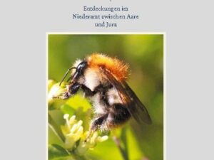 Die letzten Insekten