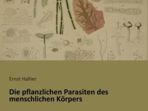 Die pflanzlichen Parasiten des menschlichen Körpers