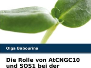 Die Rolle von AtCNGC10 und SOS1 bei der Salztoleranz von Arabidopsis