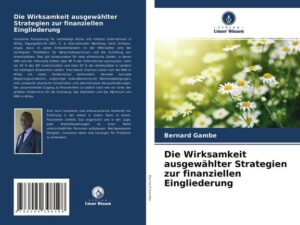 Die Wirksamkeit ausgewählter Strategien zur finanziellen Eingliederung