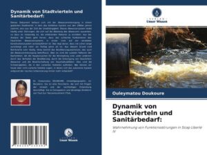 Dynamik von Stadtvierteln und Sanitärbedarf: