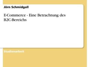 E-Commerce - Eine Betrachtung des B2C-Bereichs