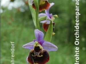 Eifel - Das bedrohte Orchideenparadies