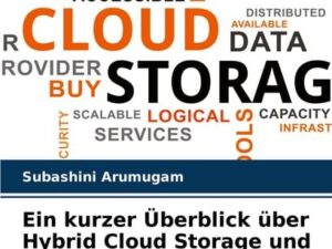 Ein kurzer Überblick über Hybrid Cloud Storage und seine Anwendungen