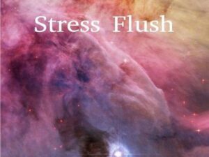 Energien einer neuen Zeit / Stress Flush