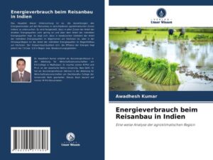 Energieverbrauch beim Reisanbau in Indien