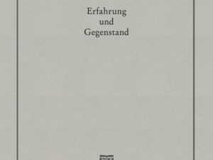 Erfahrung und Gegenstand