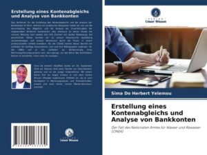 Erstellung eines Kontenabgleichs und Analyse von Bankkonten