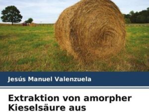 Extraktion von amorpher Kieselsäure aus Weizenstroh