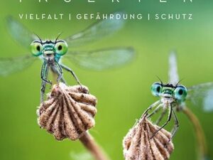 Facettenreiche Insekten