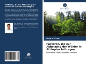 Faktoren, die zur Abholzung der Wälder in Äthiopien beitragen