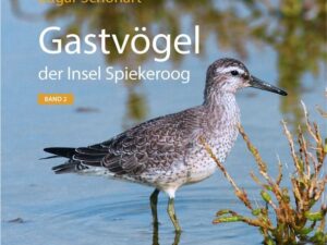 Gastvögel der Insel Spiekeroog