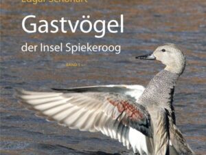 Gastvögel der Insel Spiekeroog