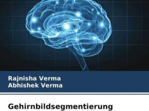 Gehirnbildsegmentierung mithilfe von K-Means-Clustering bei der Farbtontransformation