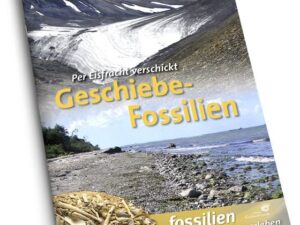 Geschiebe-Fossilien