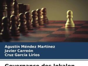 Governance des lokalen Unternehmertums