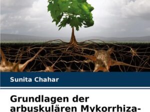 Grundlagen der arbuskulären Mykorrhiza-Pilze