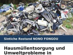 Hausmüllentsorgung und Umweltprobleme in Douala 3