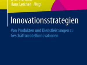 Innovationsstrategien