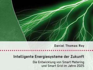 Intelligente Energiesysteme der Zukunft: Die Entwicklung von Smart Metering und Smart Grid im Jahre 2025