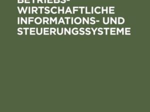 Interaktive betriebswirtschaftliche Informations- und Steuerungssysteme