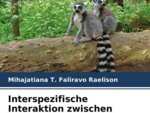 Interspezifische Interaktion zwischen Lemur catta und Propithecus verreauxi