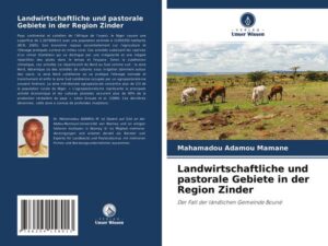 Landwirtschaftliche und pastorale Gebiete in der Region Zinder