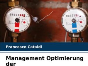 Management Optimierung der Energieverbrauchsreduzierung