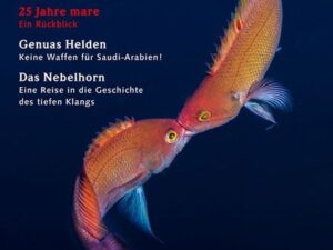 Mare - Die Zeitschrift der Meere / No. 151 / Was Fische fühlen